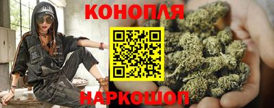 шишки Гусиноозёрск
