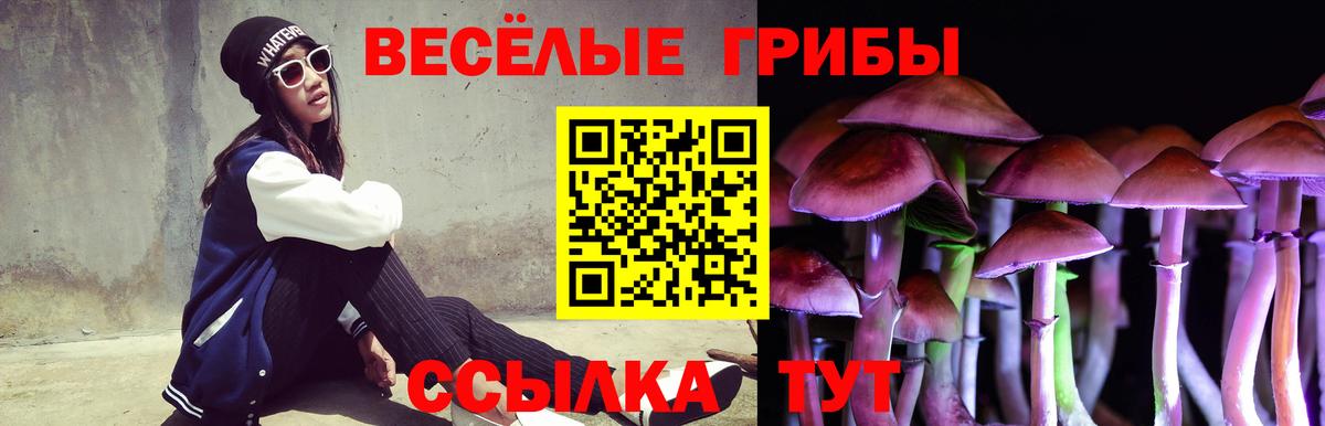 Псилоцибиновые грибы Magic Shrooms  Псилоцибиновые грибы GOLDEN TEACHER  Краснодар  Вход с VPN 